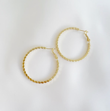 Load image into Gallery viewer, Goldie Hoop Earrings