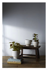 Milton Pot